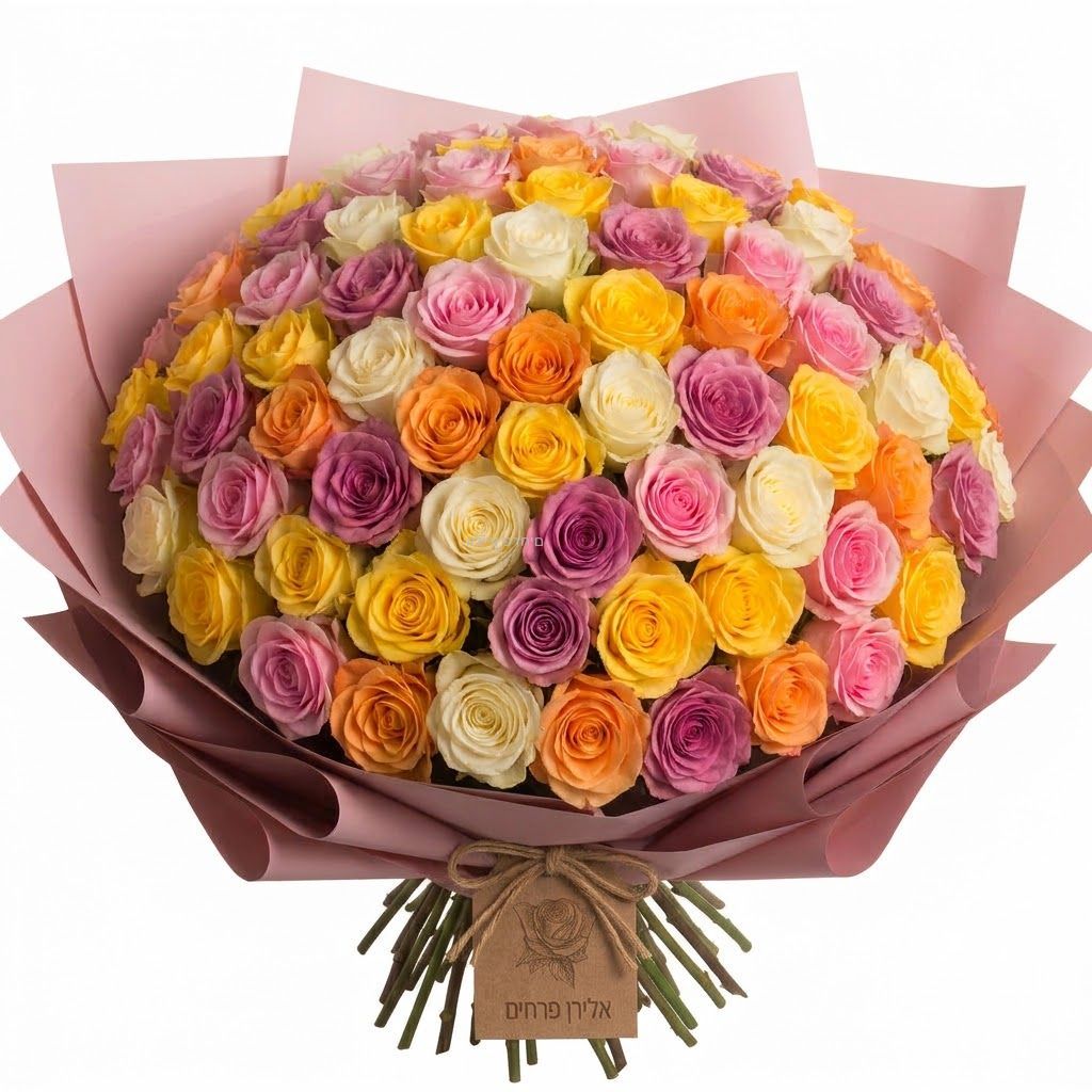 51 roses 51 roses